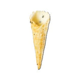 Savory Mini Cone - Black Sesame