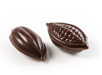 Cacao Bean Dark Decor