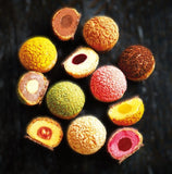 Cream Puffs / Les Chouchous