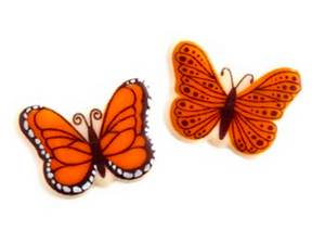 Monarch Butterflies Duo