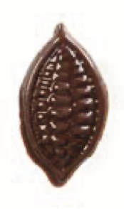 Cacao Bean Dark