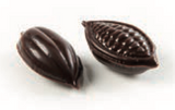 Cacao Bean Dark