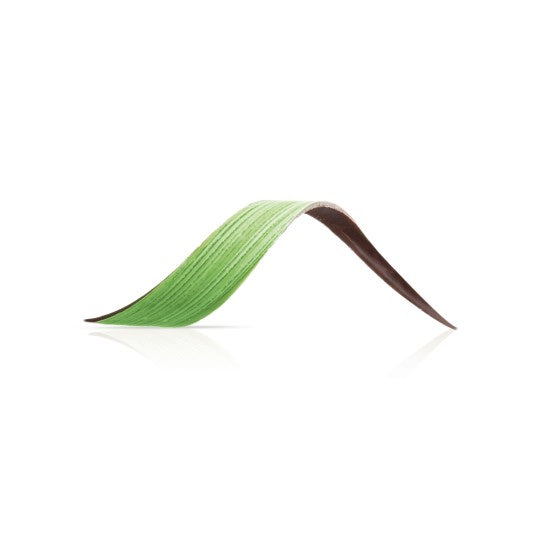 Green Chocolate Twist