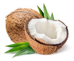 Coconut Puree Bulk