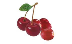Cranberry Morello Cherry Puree