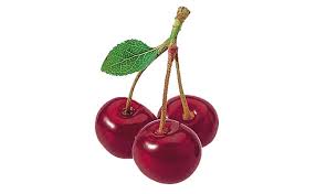 Morello Cherry Puree