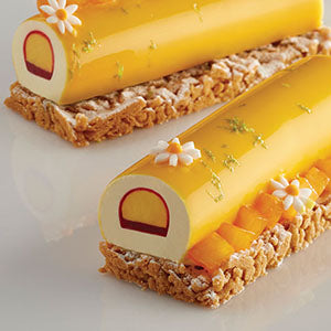 Pavoni Entremet Christmas Train Yule Log Cake Mold - EXPRESS