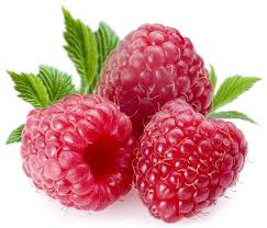 Raspberry Puree Bulk